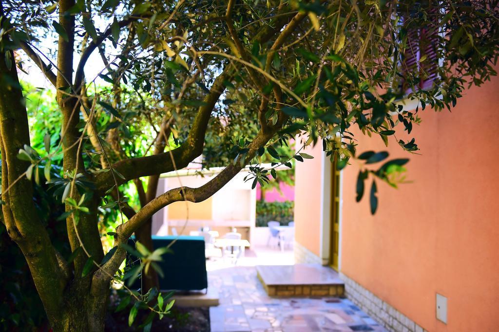 פורץ Apartments Zdjelar מראה חיצוני תמונה