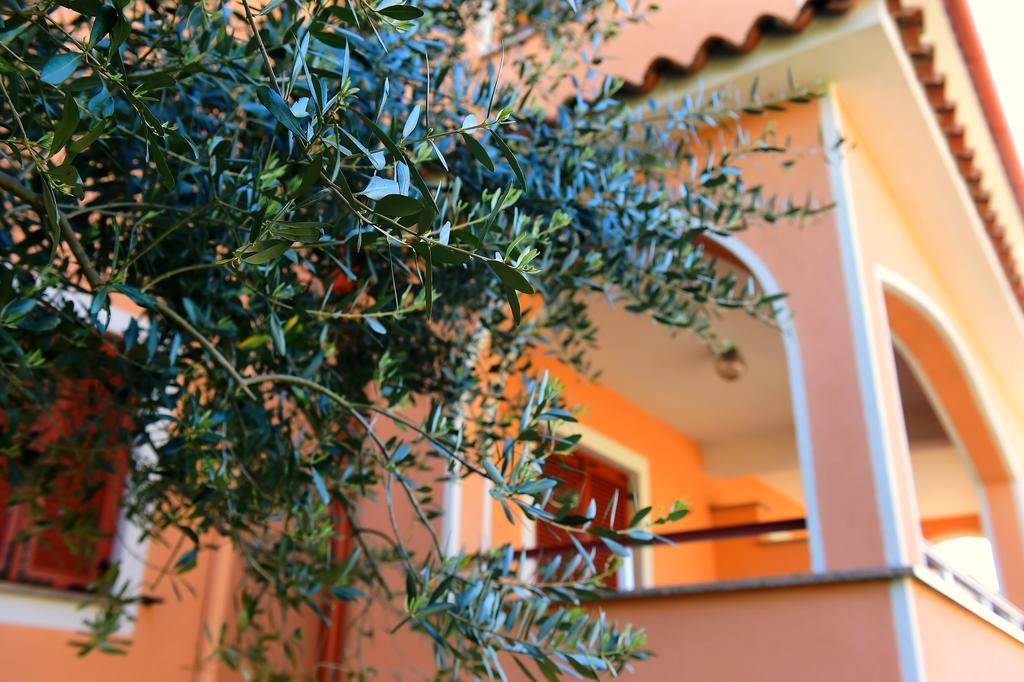 פורץ Apartments Zdjelar מראה חיצוני תמונה